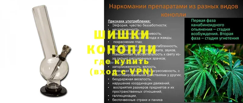 купить  цена  Новоульяновск  Конопля индика 